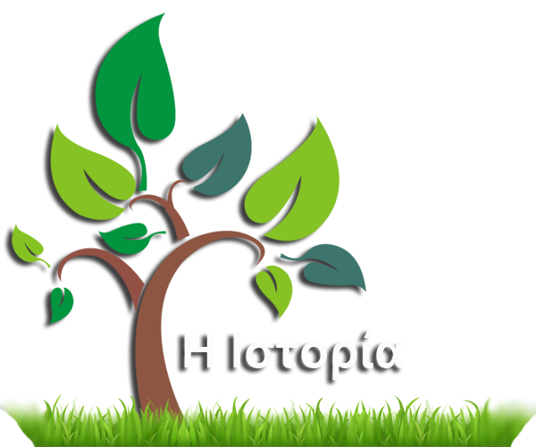 tree-design-istoria.png